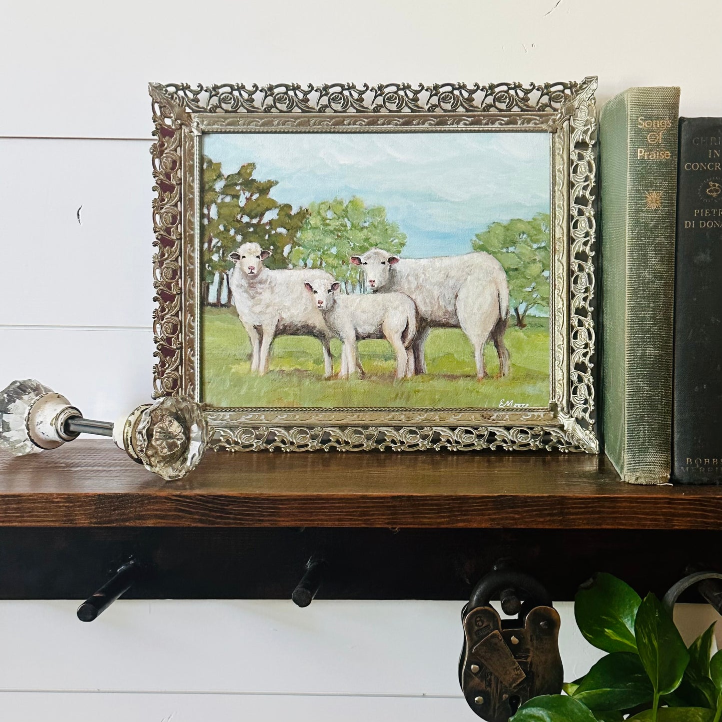 Sheep Family