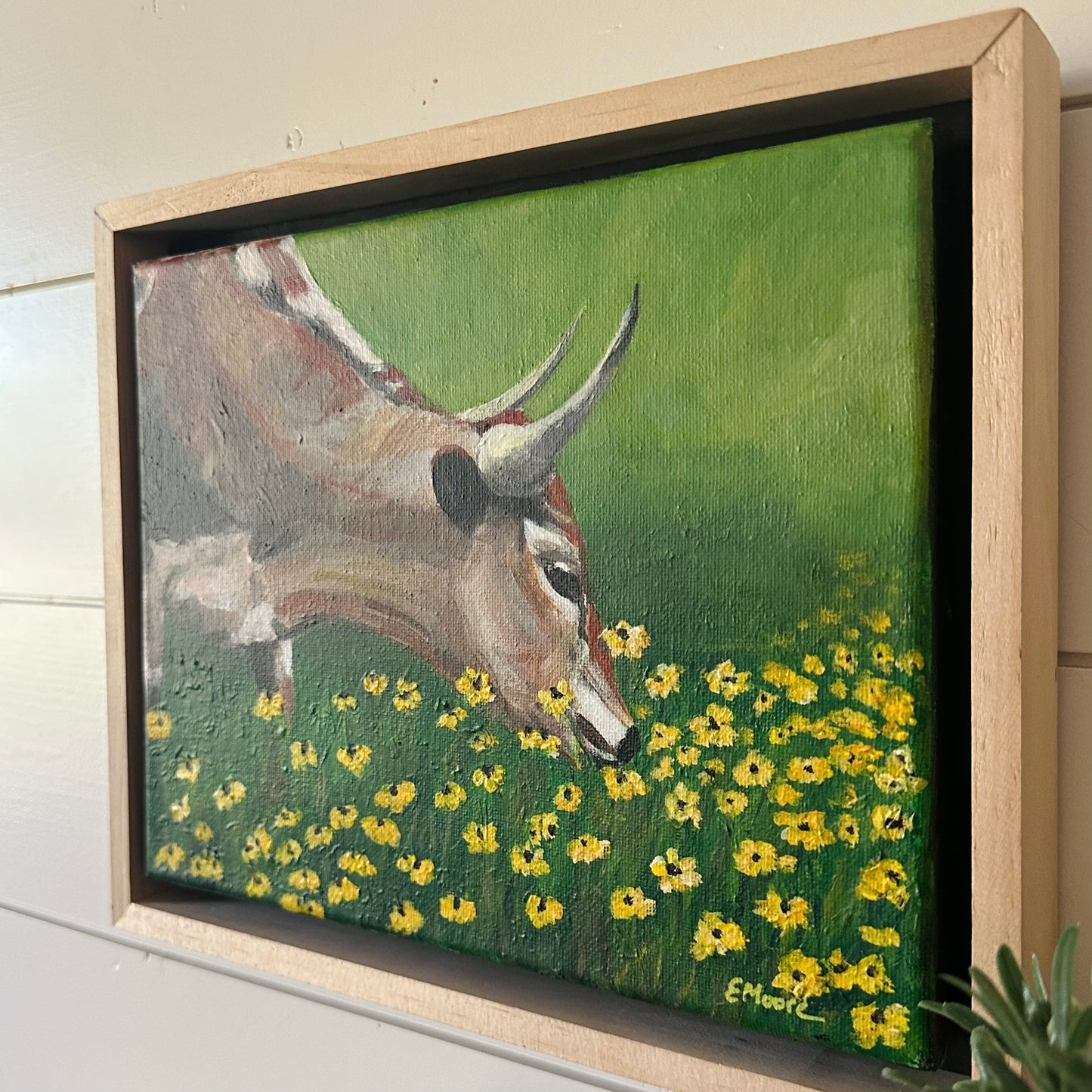 Grazing on Blossoms
