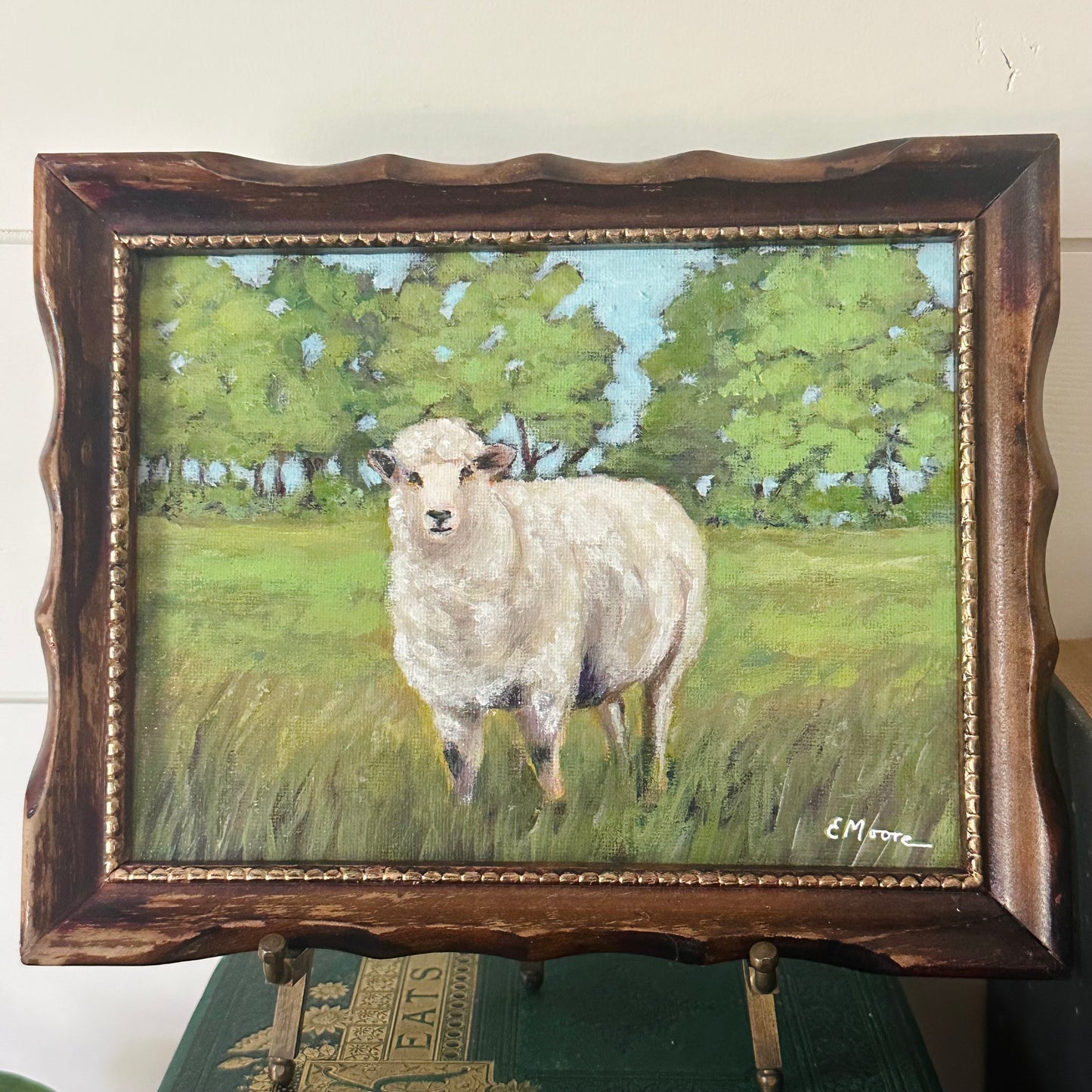 Hey Ewe