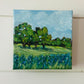 Field of Bluebonnets