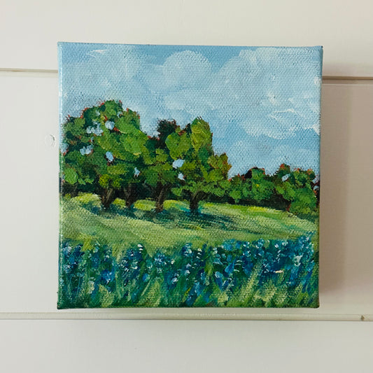 Field of Bluebonnets