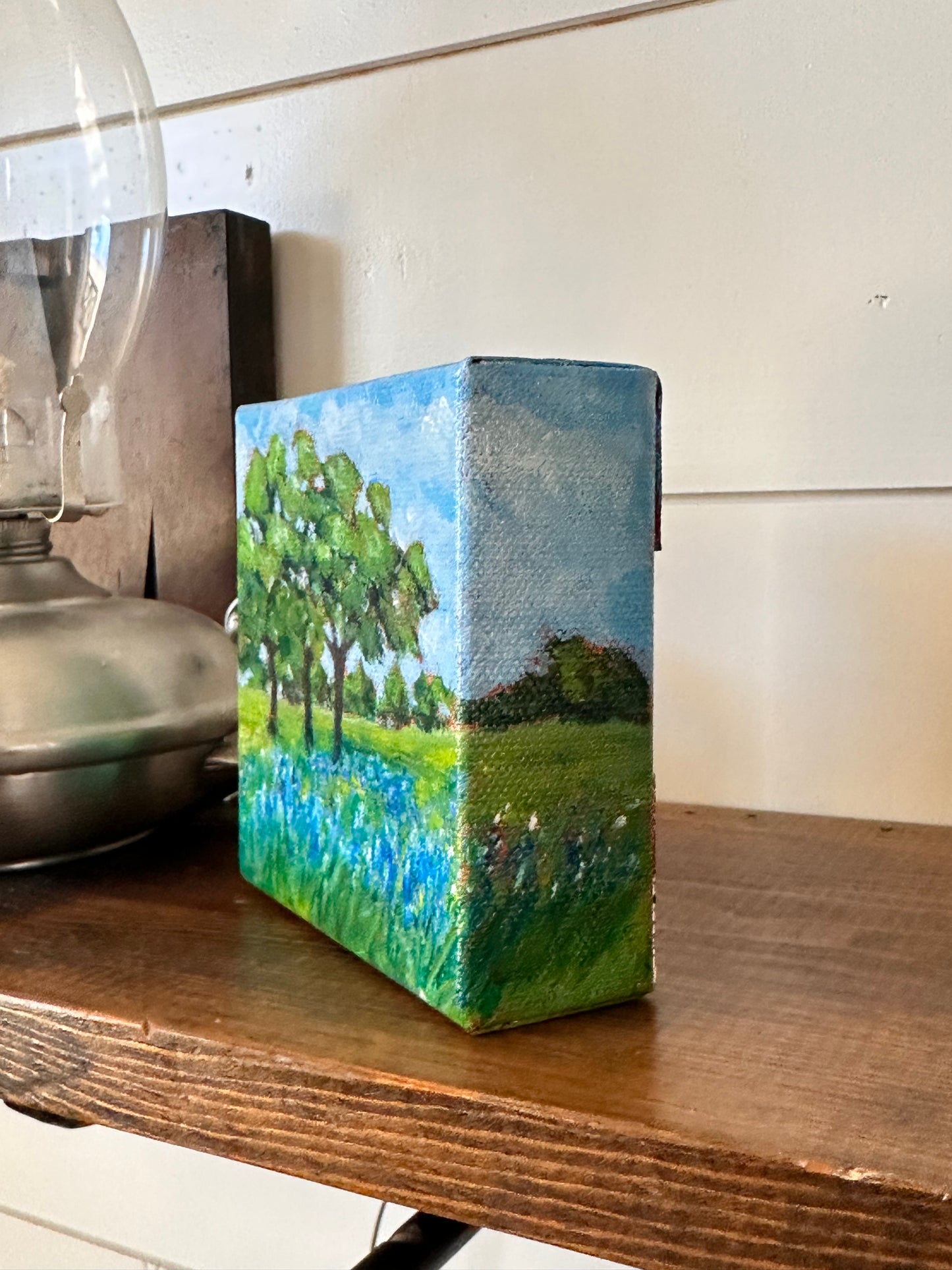 Glimpse: Bluebonnet Dreams