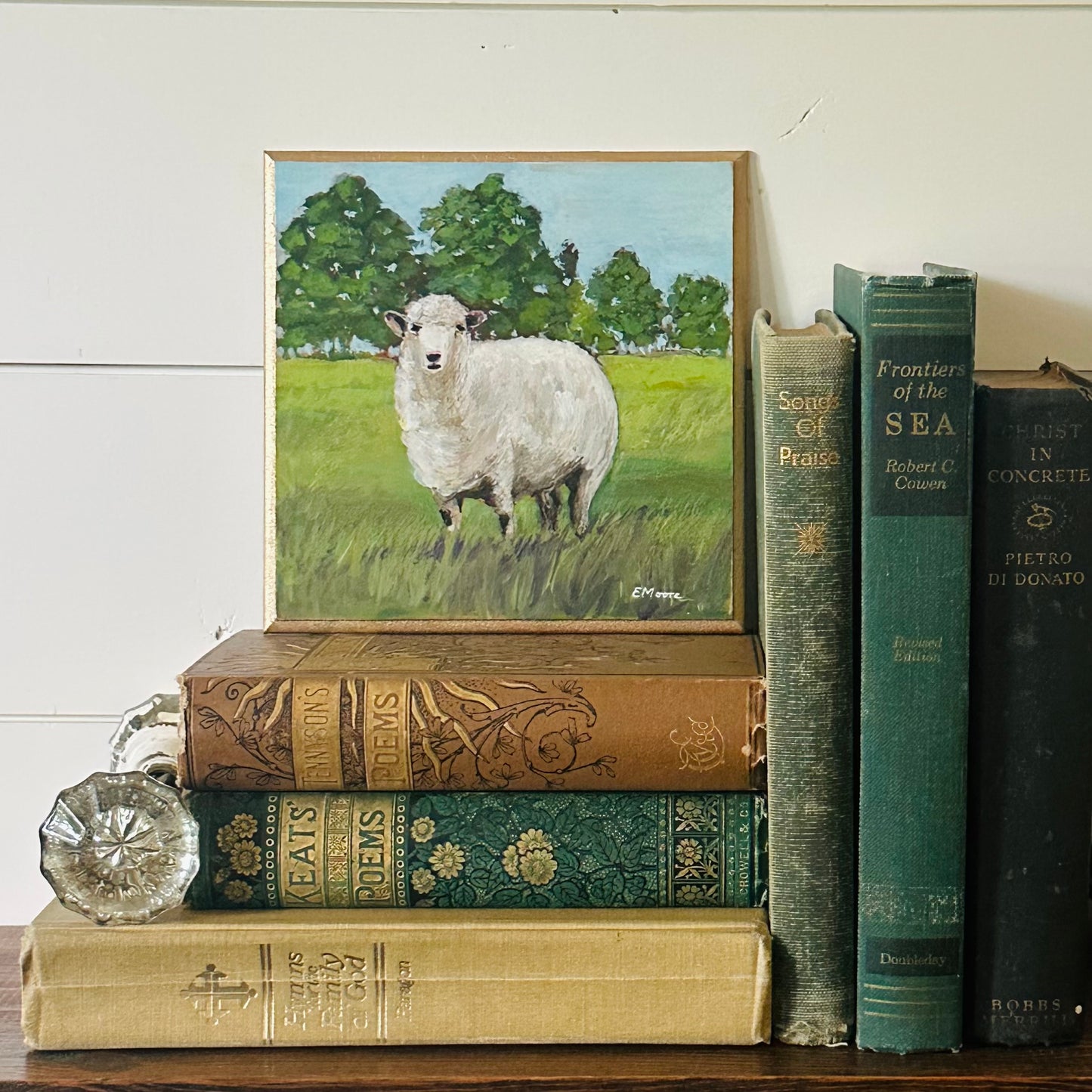 Single Sheep