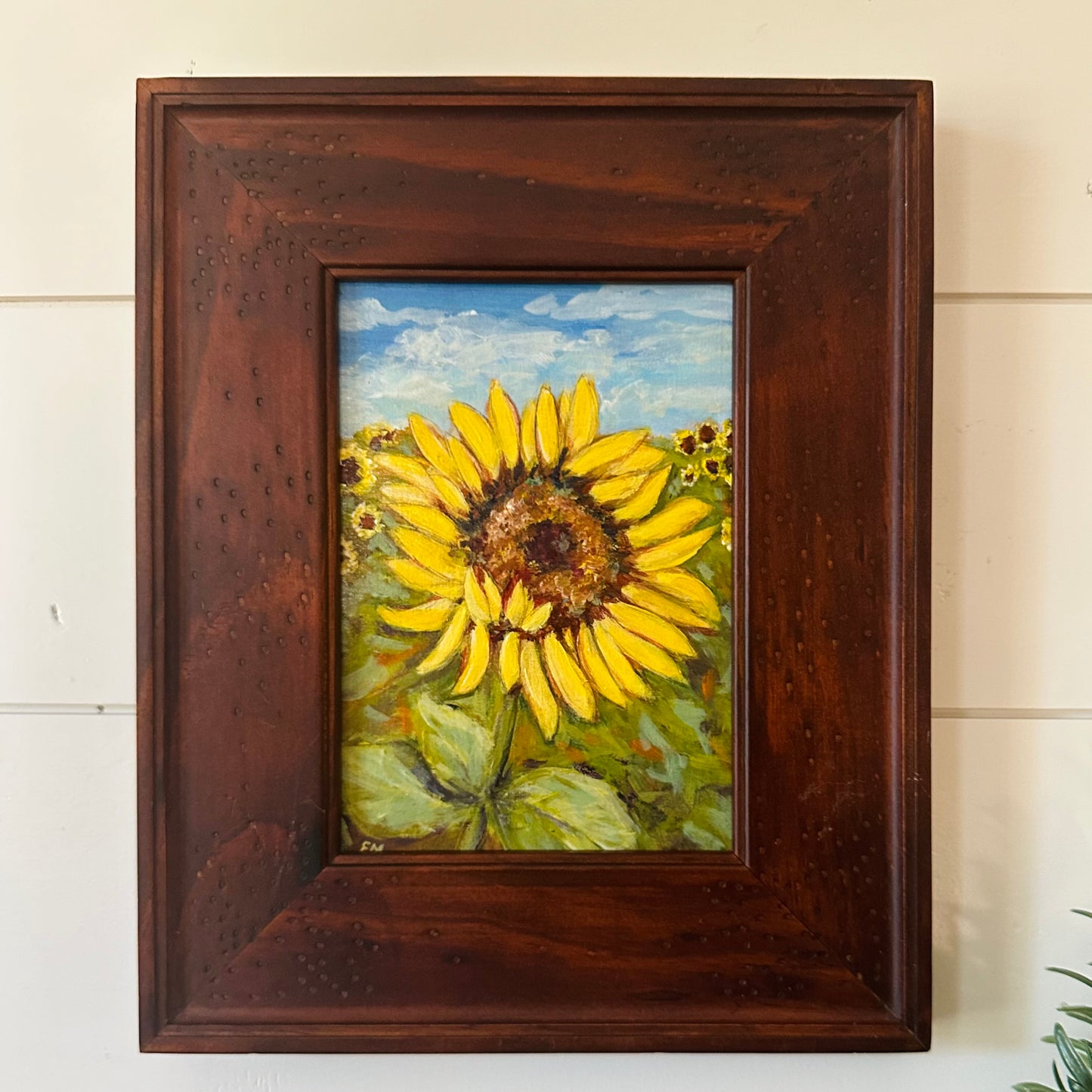 Sunflower