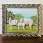 Sheep Family
