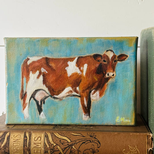 Red and white cow
