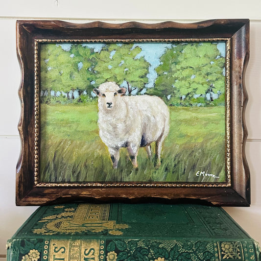 Hey Ewe