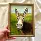 “Up Close Donkey” Framed Print