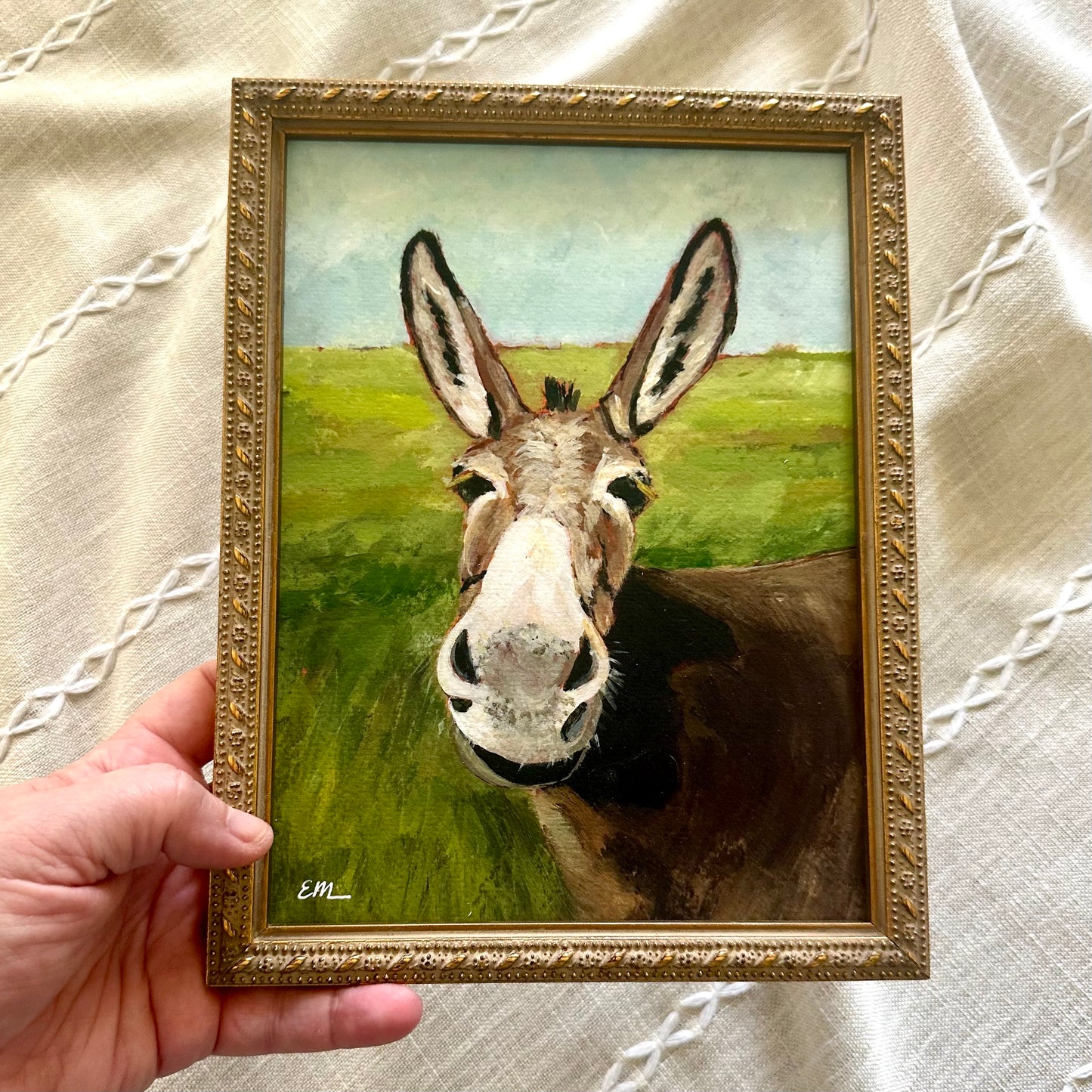“Up Close Donkey” Framed Print