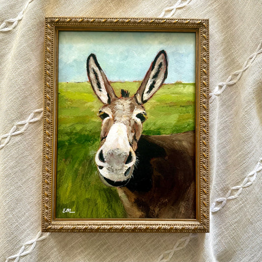 “Up Close Donkey” Framed Print
