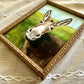 “Up Close Donkey” Framed Print