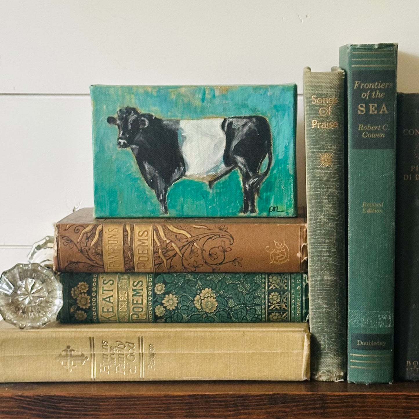 Black and White Cow