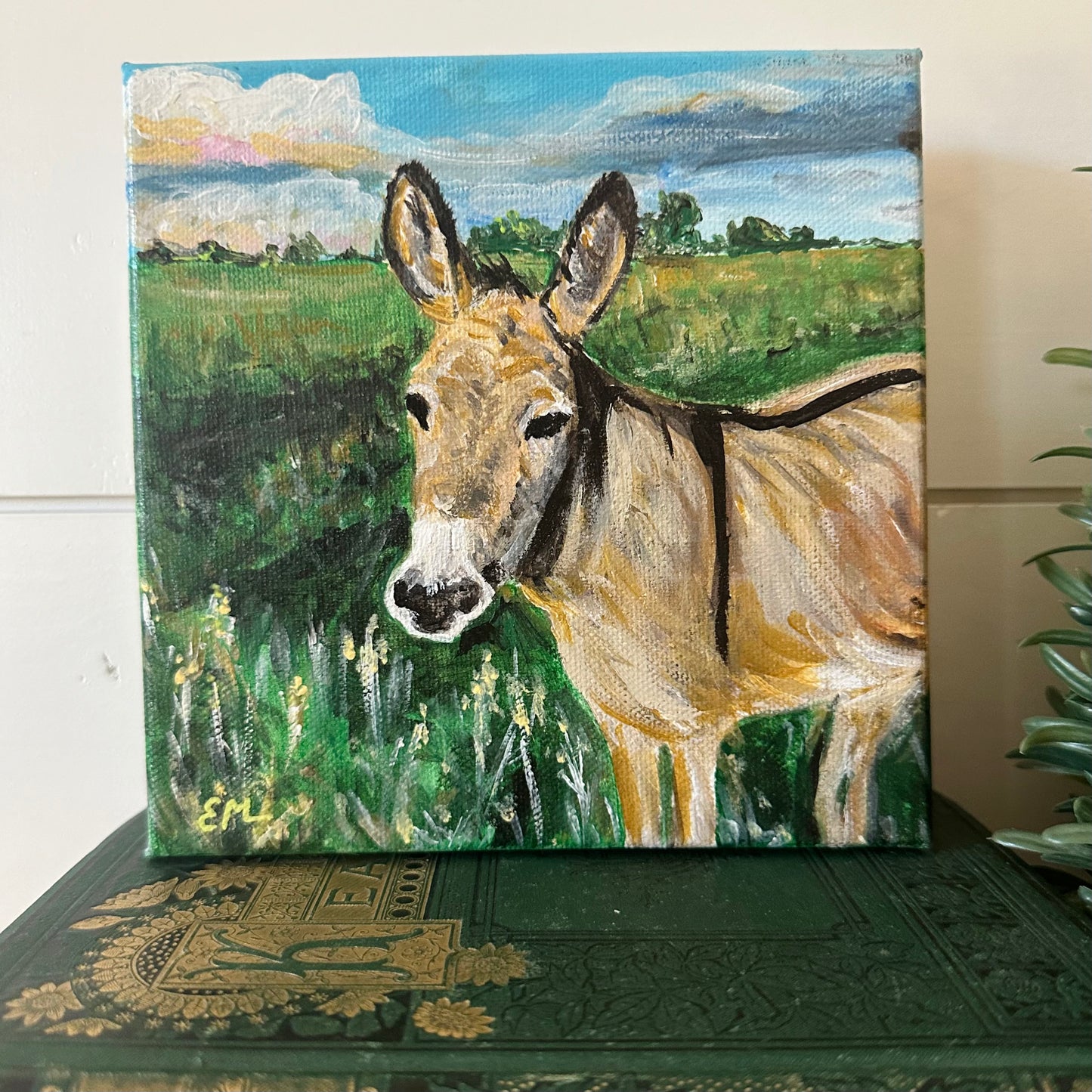 Donkey on a Sunny Day
