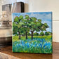 Glimpse: Bluebonnet Dreams