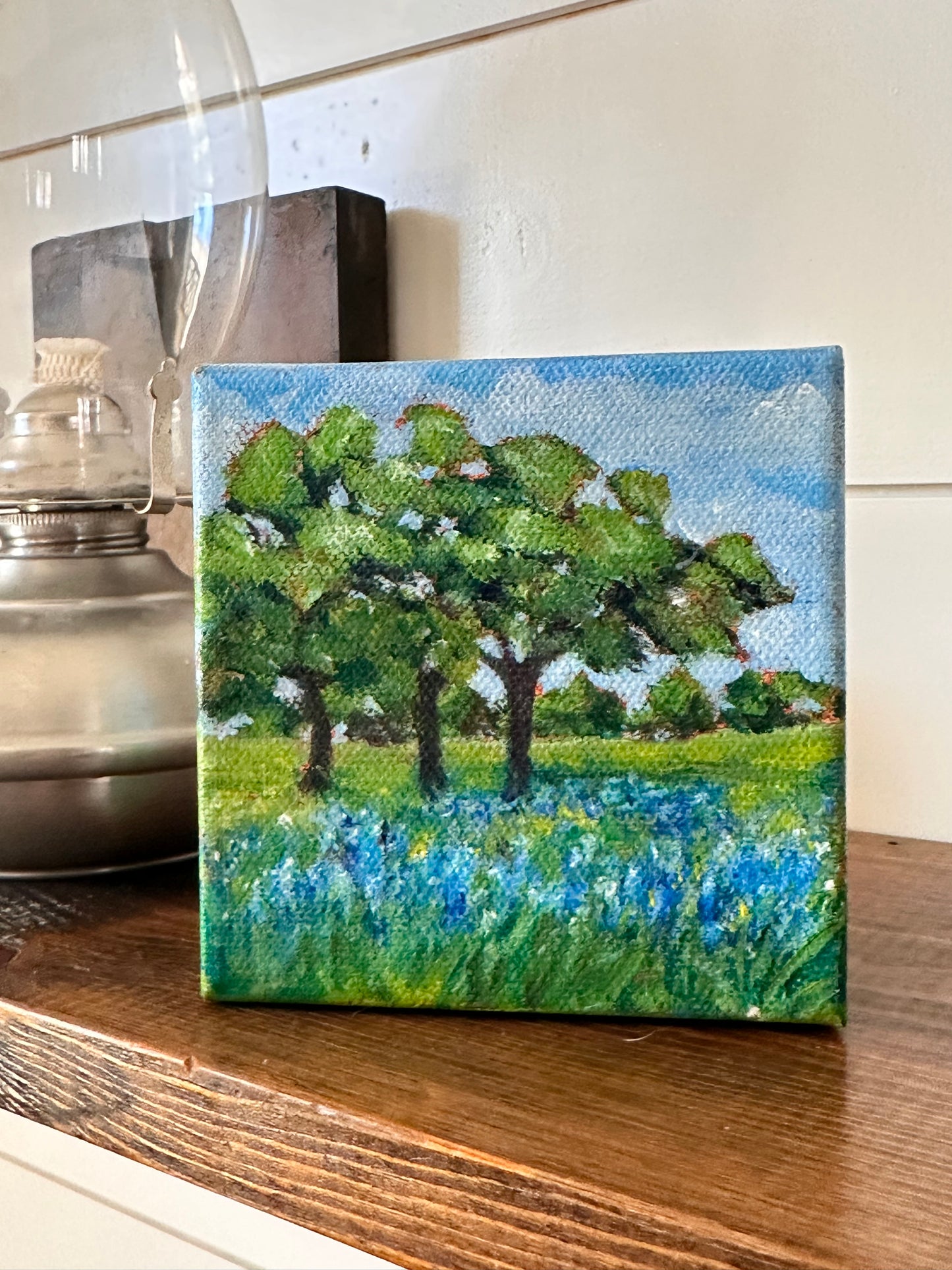 Glimpse: Bluebonnet Dreams