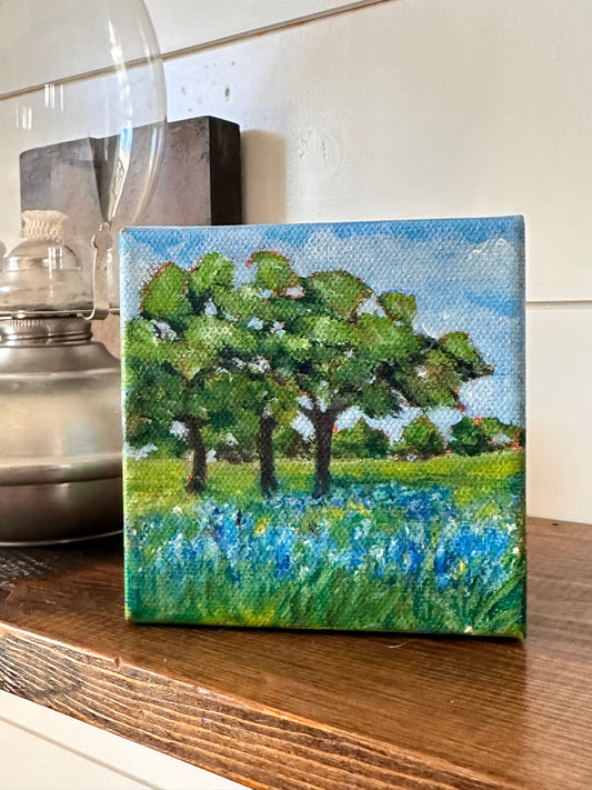 Glimpse: Bluebonnet Dreams
