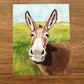 Print  “Up Close Donkey”