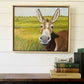 Friendly Donkey