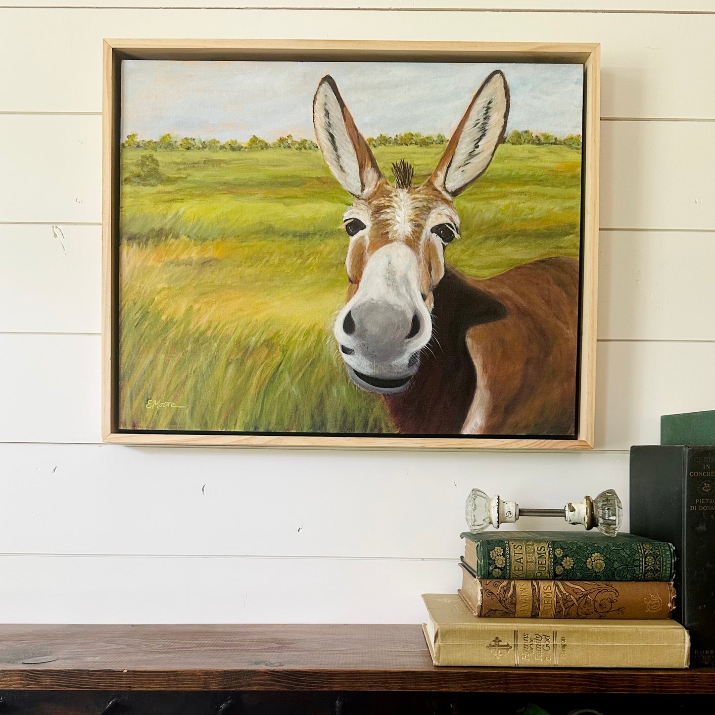 Friendly Donkey