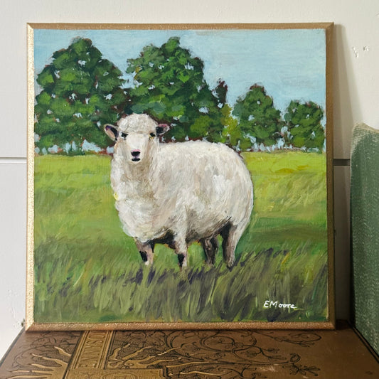 Single Sheep