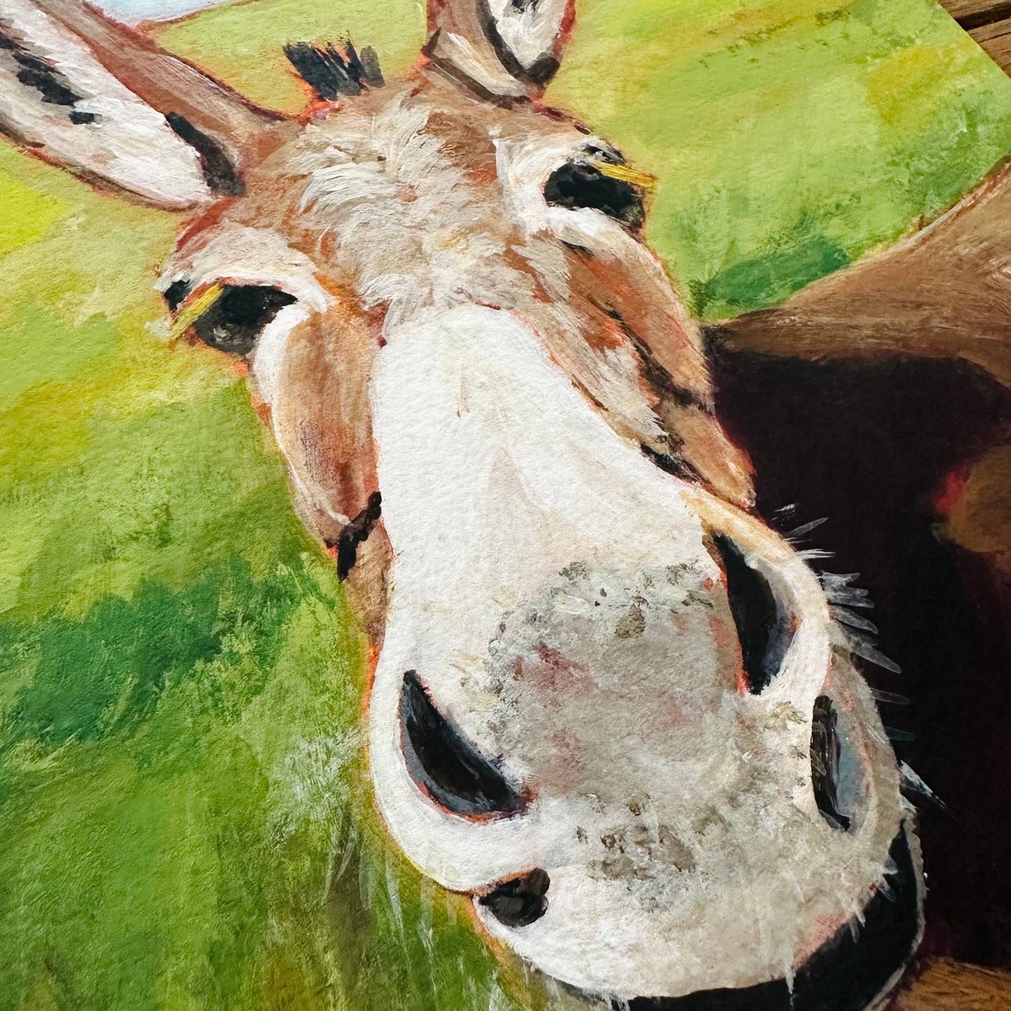 Print  “Up Close Donkey”
