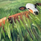 Print “Resting Calf”