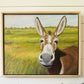 Friendly Donkey