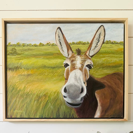 Friendly Donkey