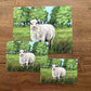 Print “Hey Ewe”