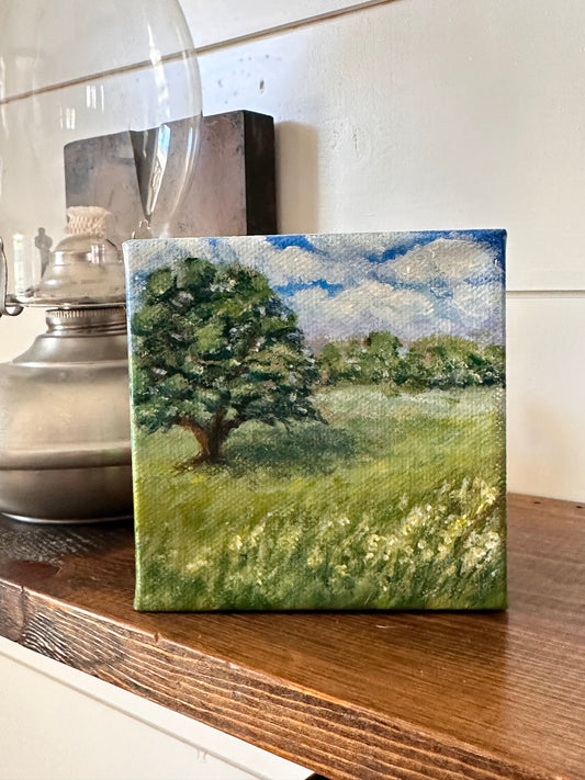 Glimpse: Field in the Morning