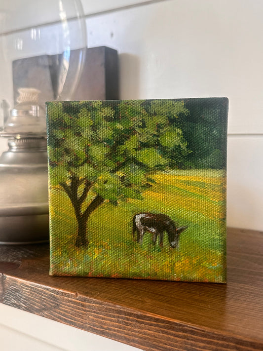 Glimpse: Round Top Donkey