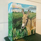 Donkey on a Sunny Day