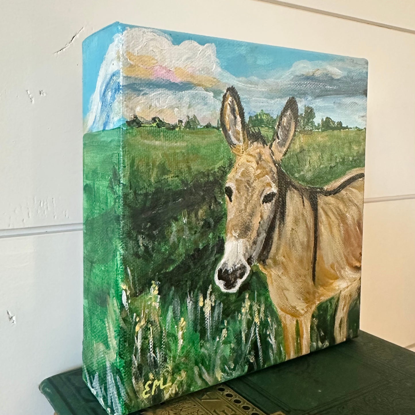 Donkey on a Sunny Day